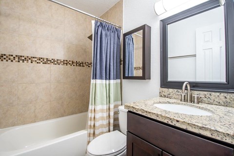 a bathroom with a sink toilet and a bath tub