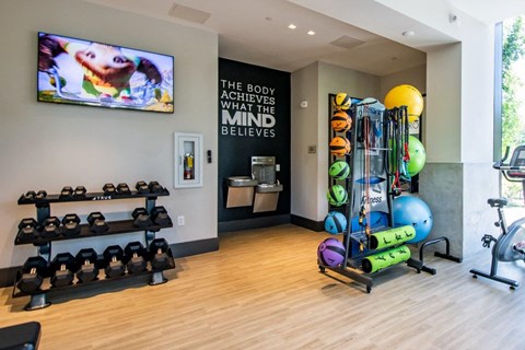 a gym with weights and a tv on the wall