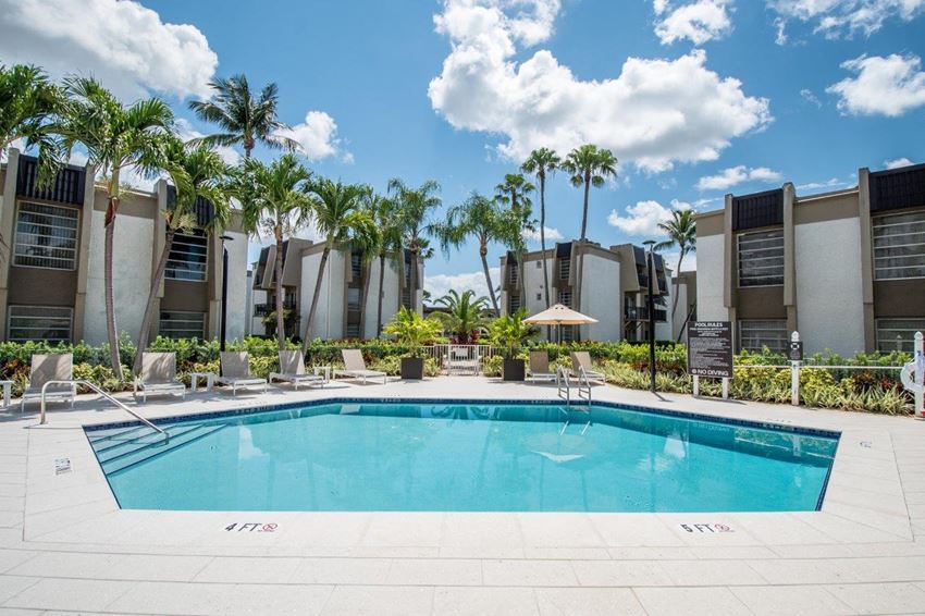 a swimming pool with palm trees in the background