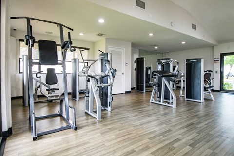 A spacious gym with a variety of equipment.