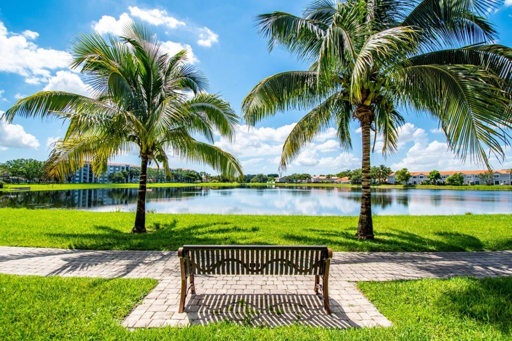 a park bench in front of a lake with palm trees