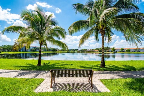 A bench sits in the foreground of a park with two palm trees and a lake in the background.