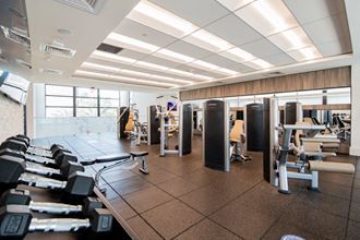 a gym with weights and cardio equipment in a large room
