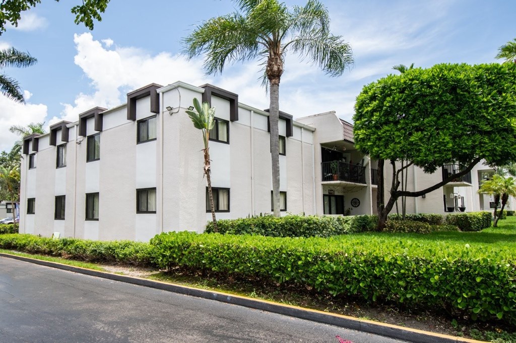 A white building with a palm tree in front.