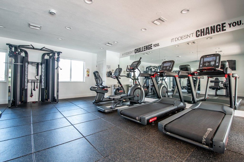 the gym is equipped with cardio equipment and weights