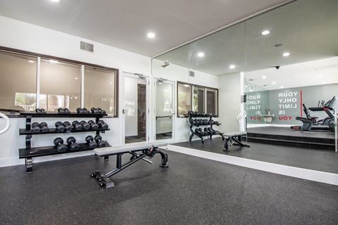 the gym is equipped with weights and cardio equipment at the preserve at great neck apartments