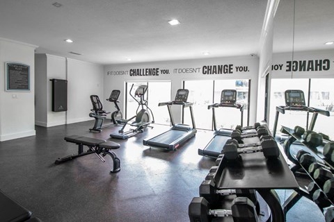 the gym is equipped with cardio equipment and weights