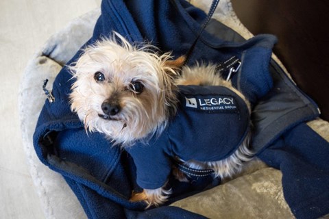 Legacy Residential mascot