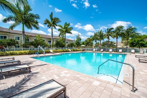 the swimming pool at the resort on longboat key