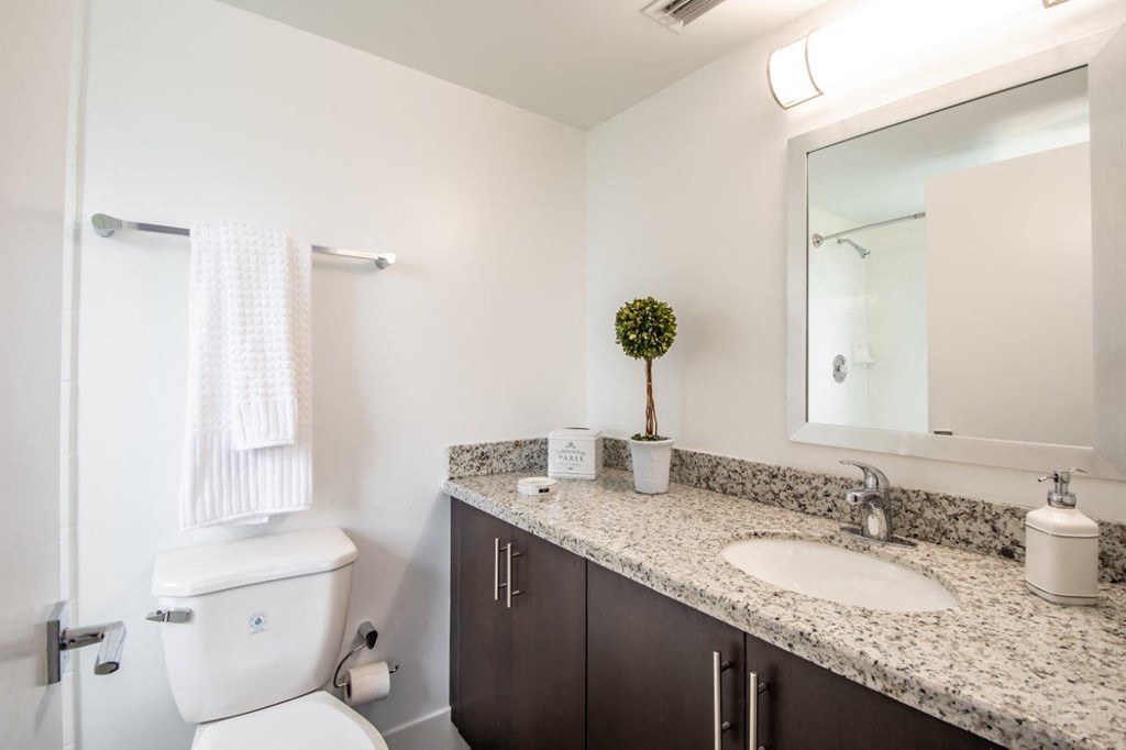 a bathroom with a sink and a toilet and a mirror