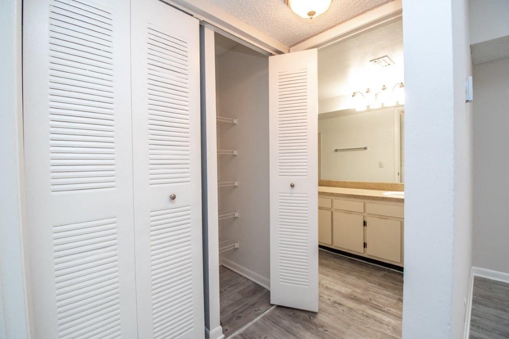 a bathroom with a closet and a sink and a mirror