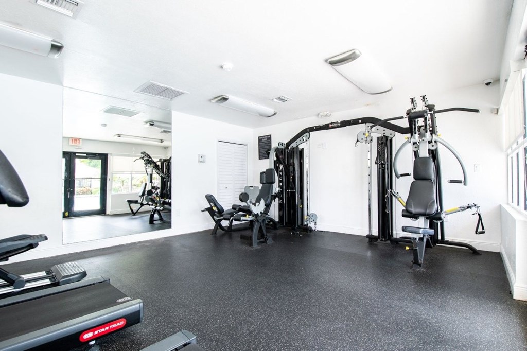 A gym with a treadmill, weights, and exercise equipment.
