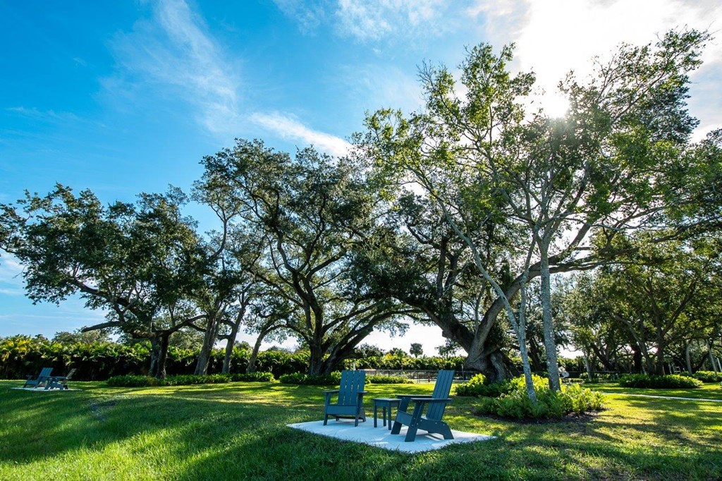 a picnic table and chairs in a park with trees