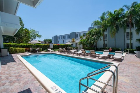 A pool surrounded by chairs and palm trees.