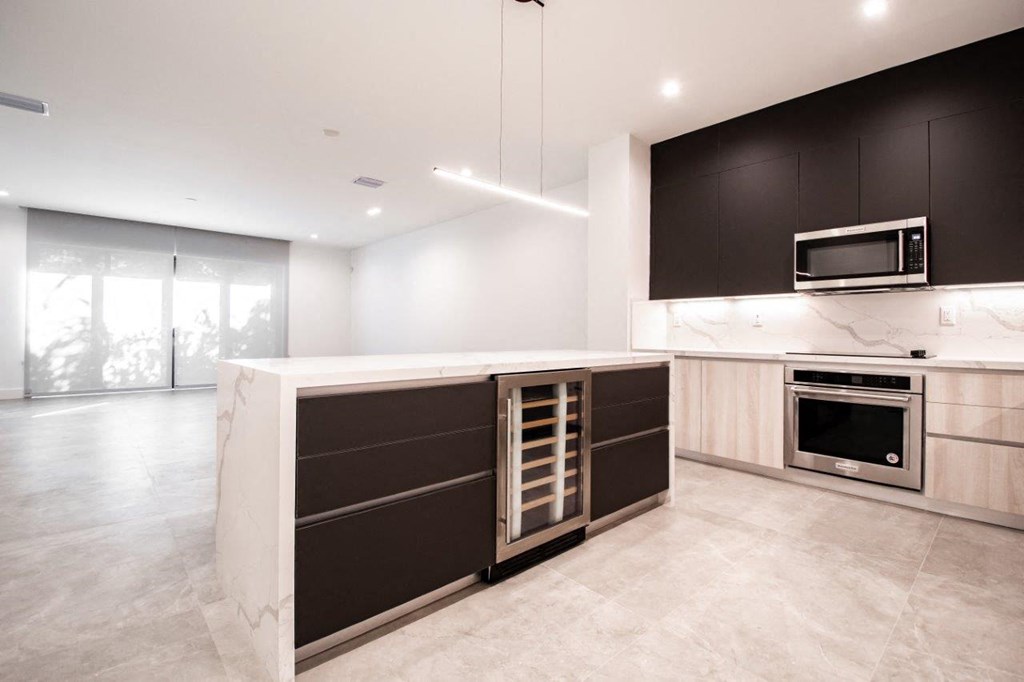 Kitchen/Living Area