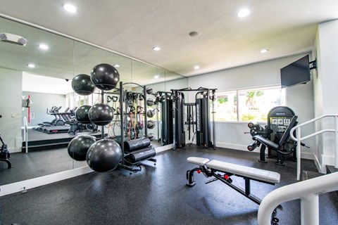 the gym is stocked with weights and cardio equipment