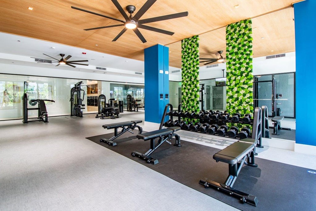 a gym with weights and a green wall