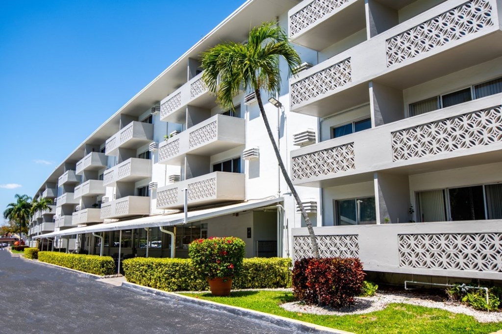 A white building with balconies and a palm tree in front.