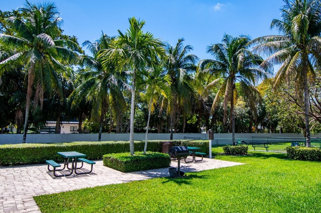 A park with palm trees and benches.