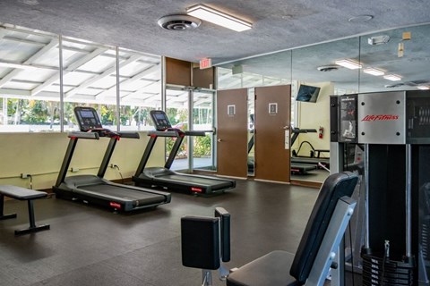 A gym with treadmills, weights, and exercise equipment.