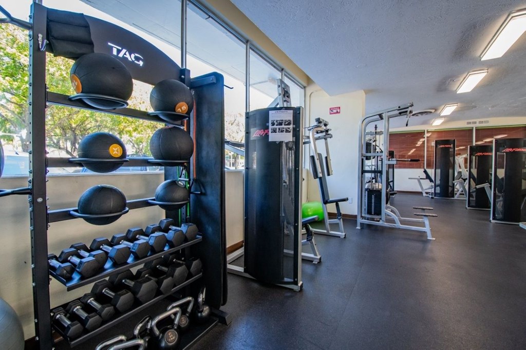A gym with a variety of equipment including dumbbells and weight plates.