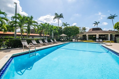A large swimming pool surrounded by palm trees and lounge chairs.