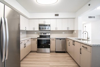 Upgraded Kitchen - Photo Gallery 4