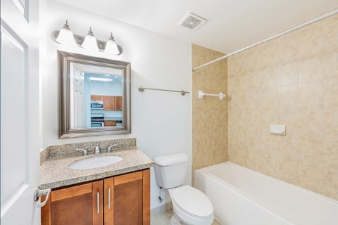 a bathroom with a sink toilet and tub and a mirror