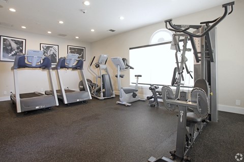 A gym with treadmills, elliptical machines, and other exercise equipment.