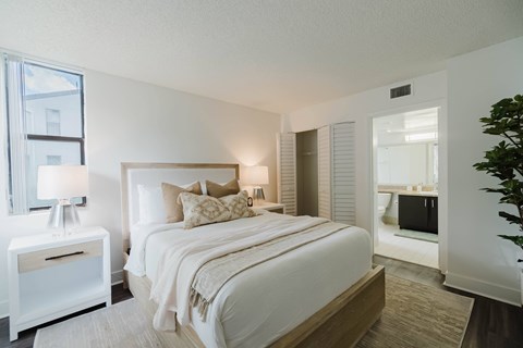 A bedroom with a large bed, a nightstand with a lamp, and a plant.