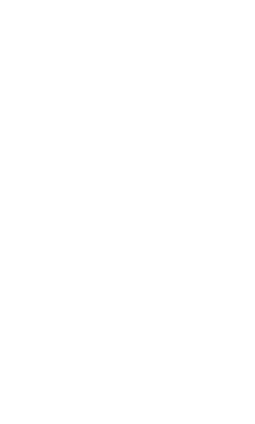 Somi Townhomes logo