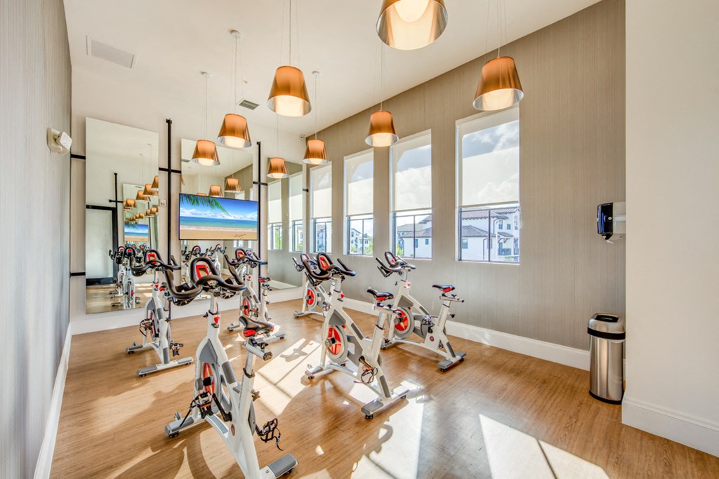the gym has plenty of exercise bikes and windows