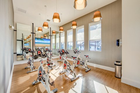 the gym has plenty of exercise bikes and windows