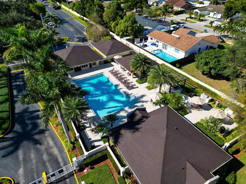 A swimming pool surrounded by palm trees and houses.