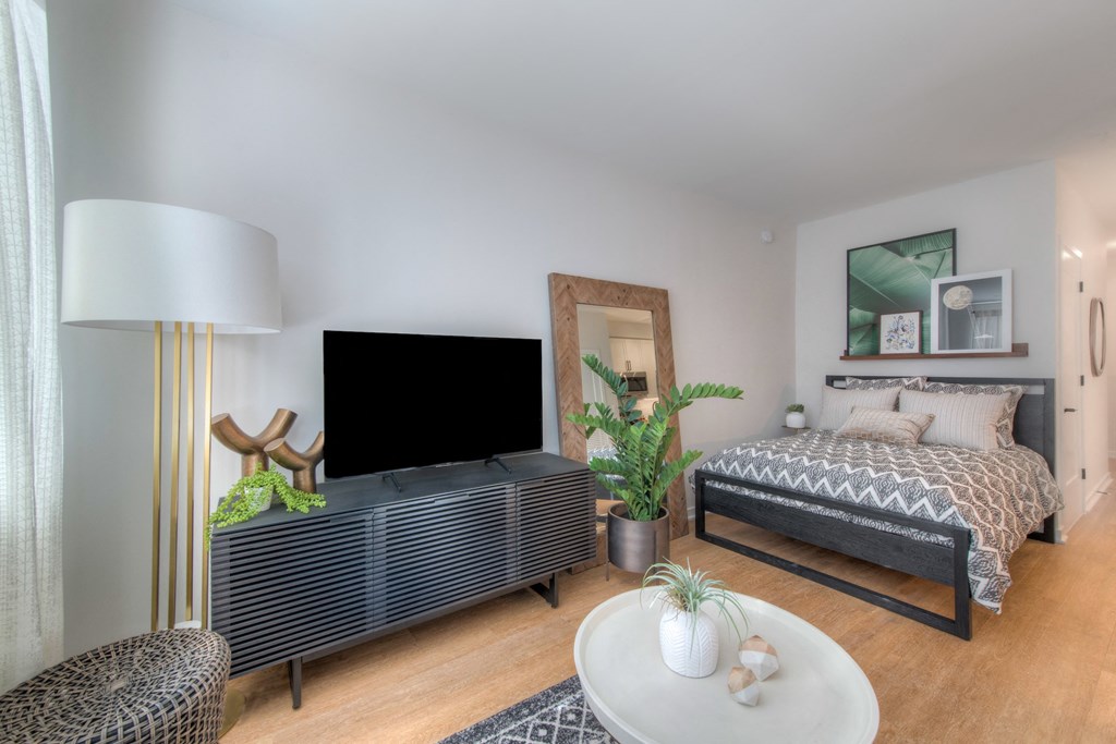 Studio apartment living space with a tv, bed, coffee table, and decor