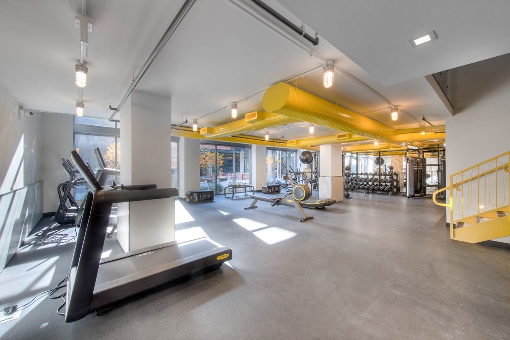 Gym space with treadmill, rowing machine, and free weights