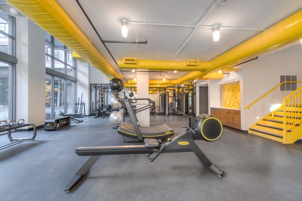 Gym space with treadmill and rowing machine