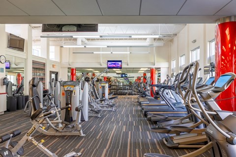 a gym with cardio equipment and weights on the floor