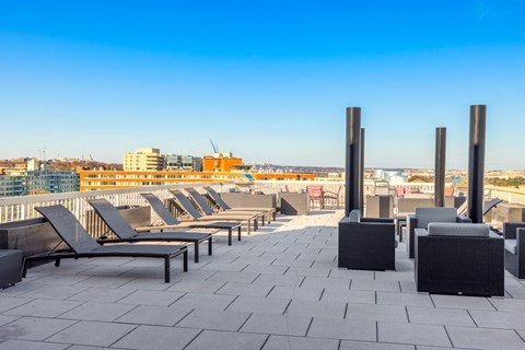 a row of lounge chairs on a rooftop patio overlooking the city