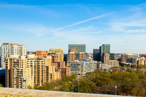 a view of the city with skyscrapers and trees