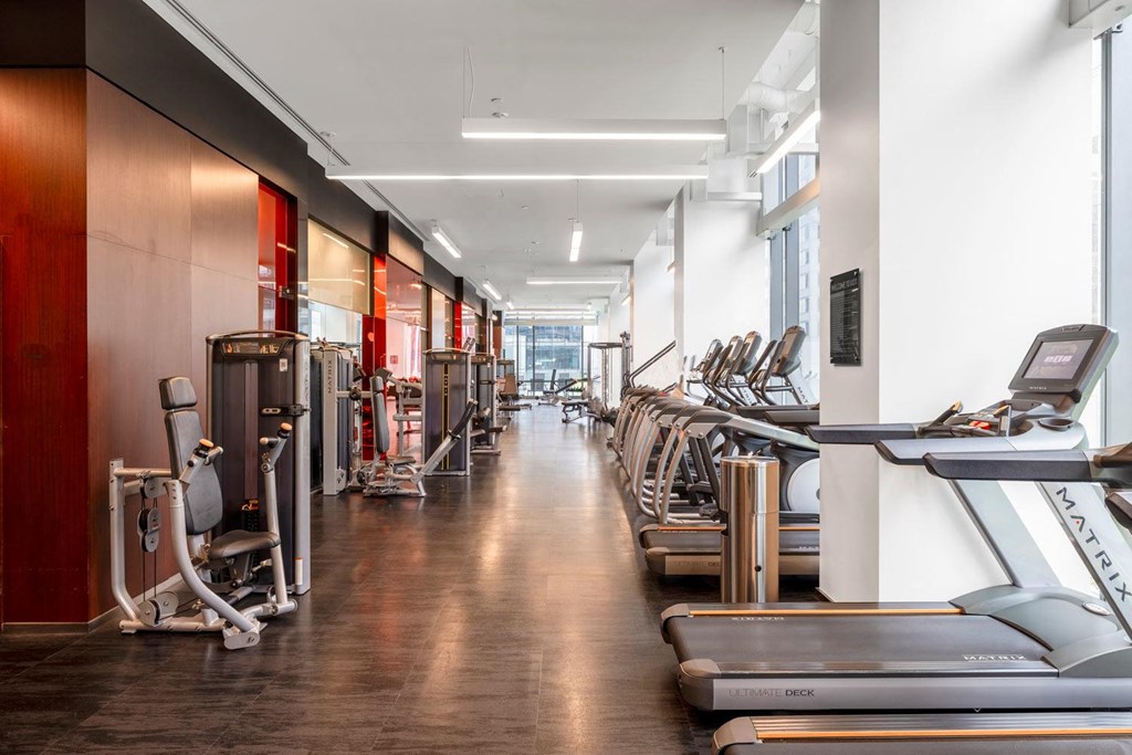 a row of cardio equipment in a gym with cardio machines