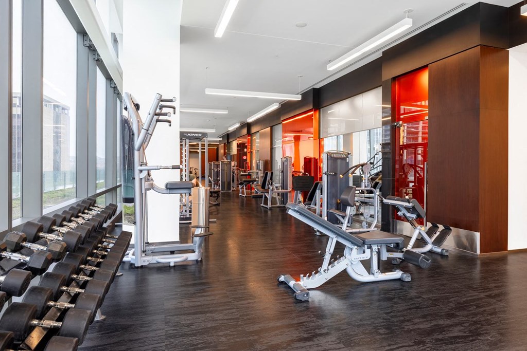 a gym with weights and cardio machines and large windows