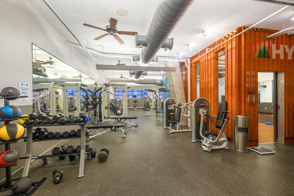 a gym with weights and cardio machines and a ceiling fan