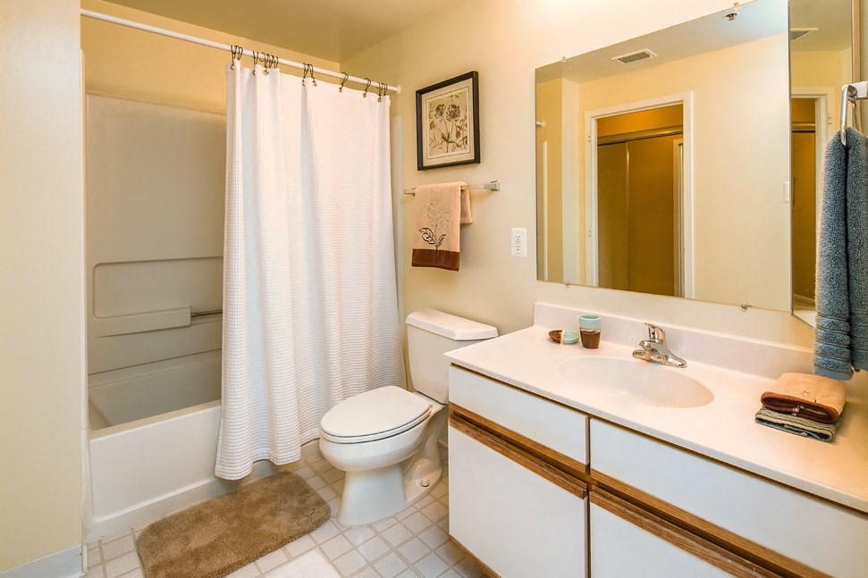 Bathroom with White Cabinets and Shower