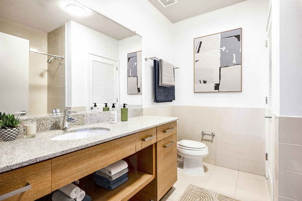 a bathroom with a sink and a toilet
