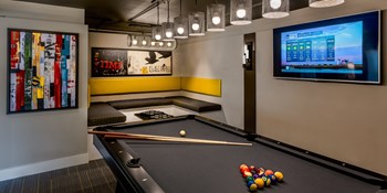 Pool table and TV - Photo Gallery 25