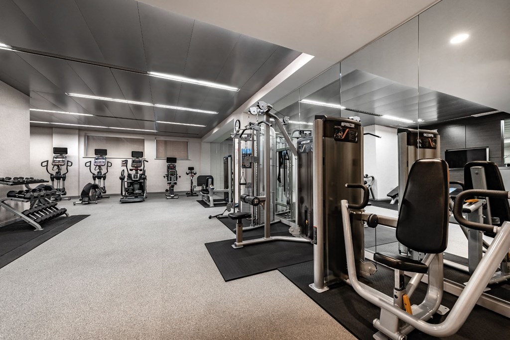 the gym is equipped with state of the art gym equipment