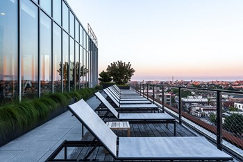 Rooftop Loungers - Photo Gallery 5