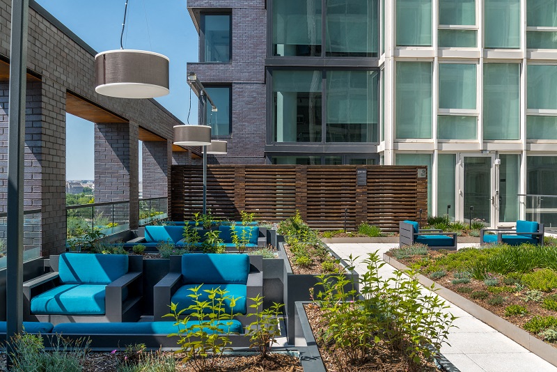 a living area with blue couches and plants in front of a building