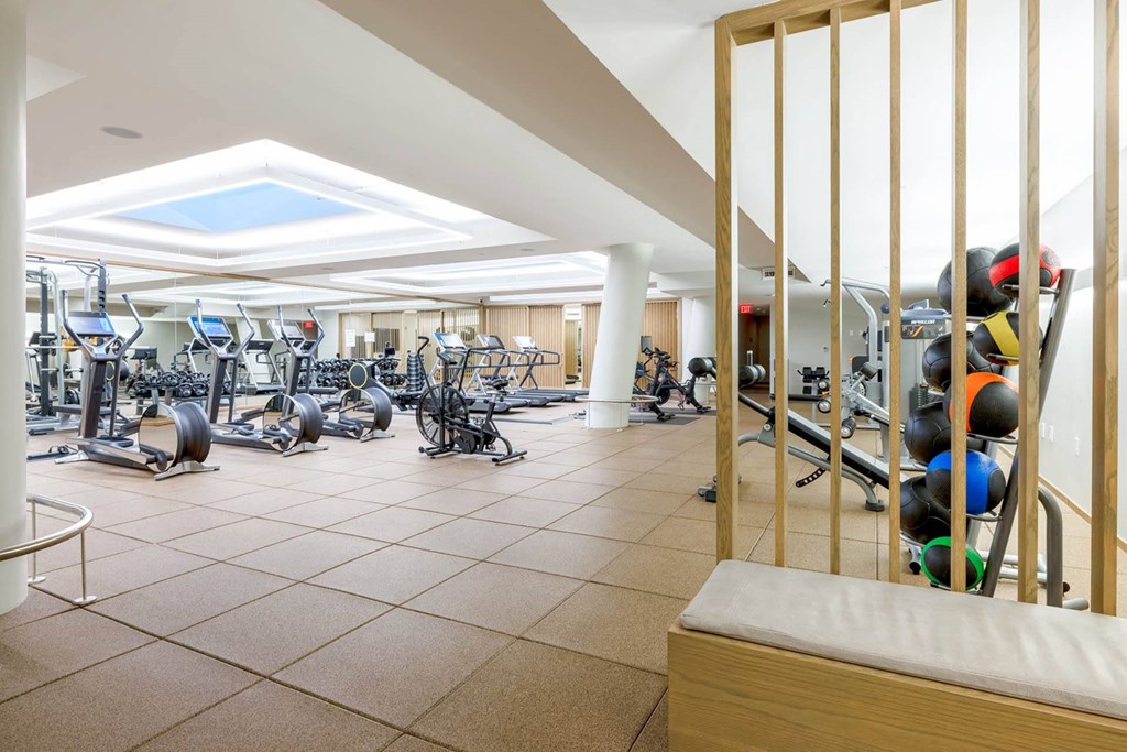 a gym with weights and cardio equipment at the resort at longboat key club